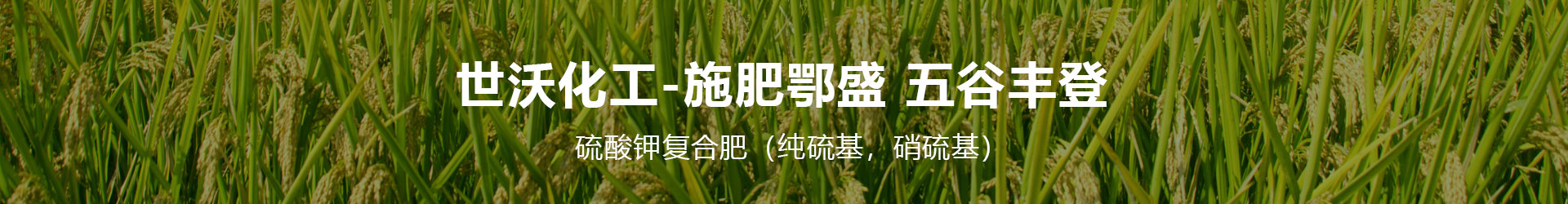 湖北世沃化工有限責任公司